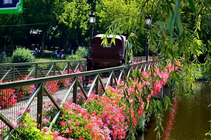 Parcul Natural Comana