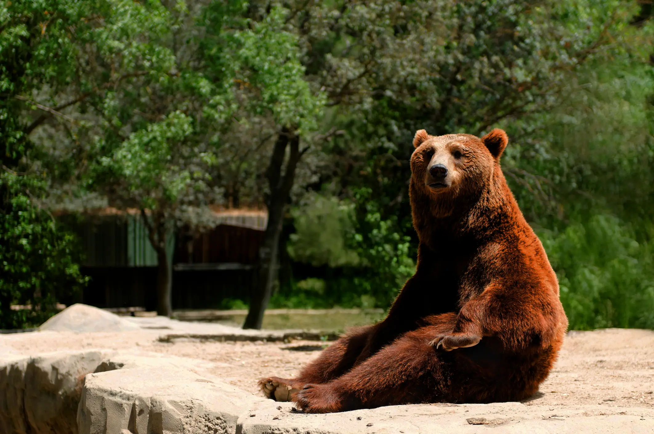 Grădina Zoologică Băneasa
