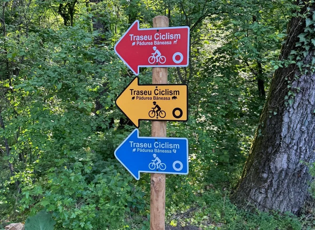 MTB pe traseele din Băneasa