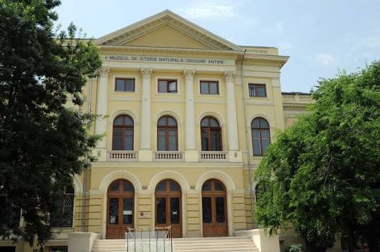 Muzeul Național de Istorie Naturală Grigore Antipa