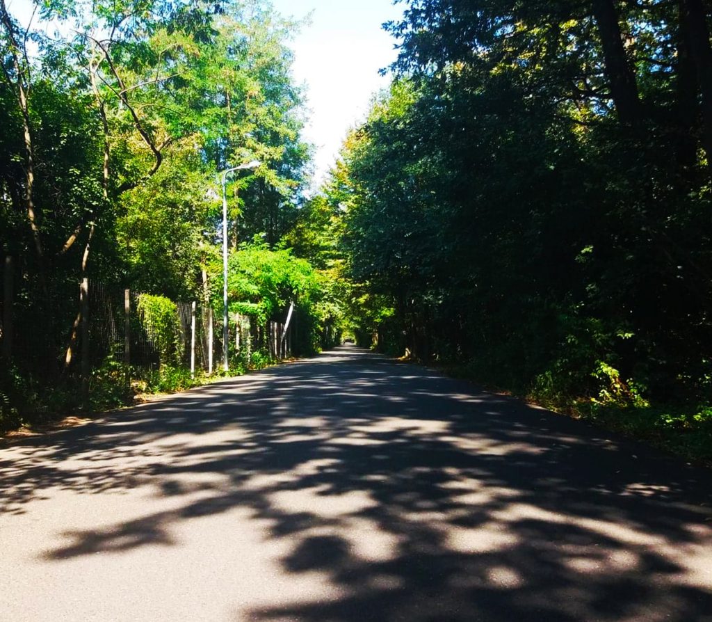 Plimbare în Pădurea Băneasa