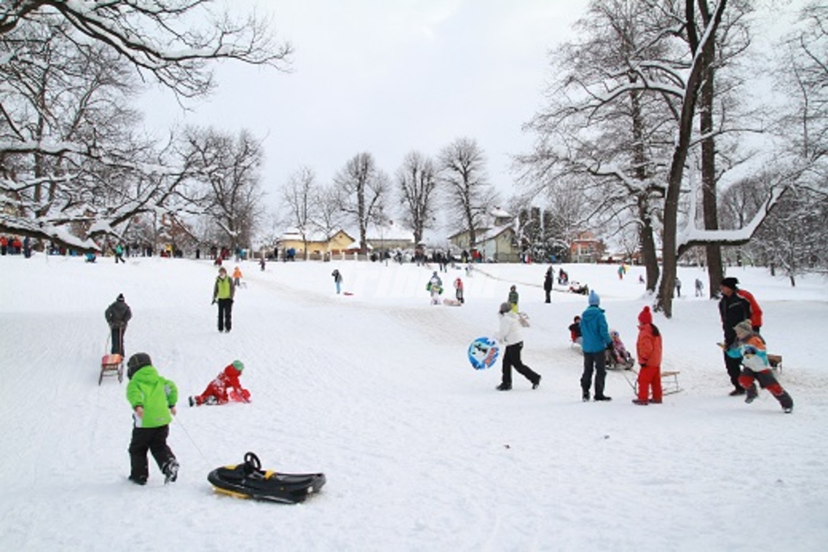 Săniuș în parc